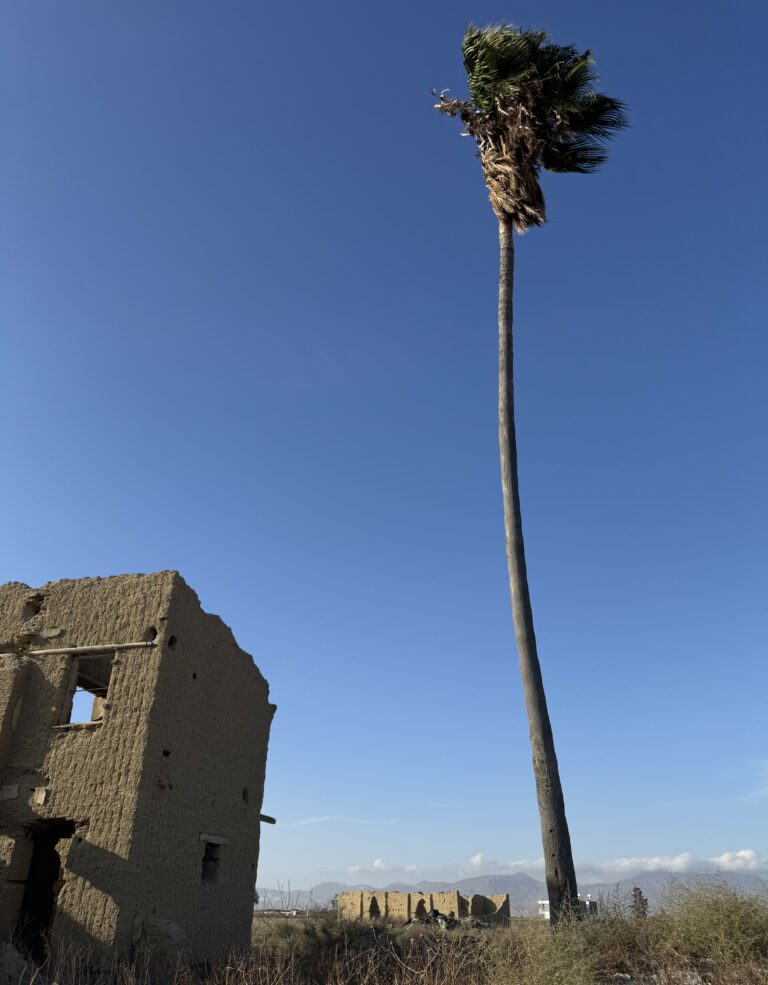 Ornithi-murder-site-of-innocent-civilians-turned-into-Turkish-housing-project